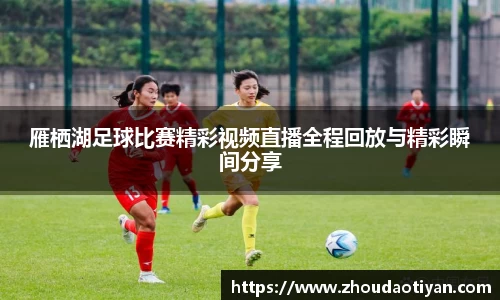 EMC易倍官网
