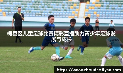 EMC易倍下载