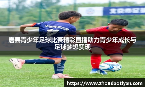 EMC易倍下载