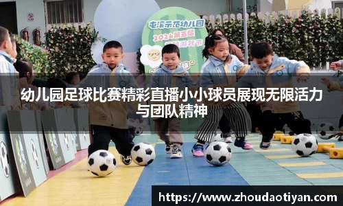 EMC易倍下载